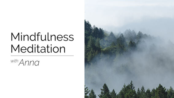 Mindfulness Meditation